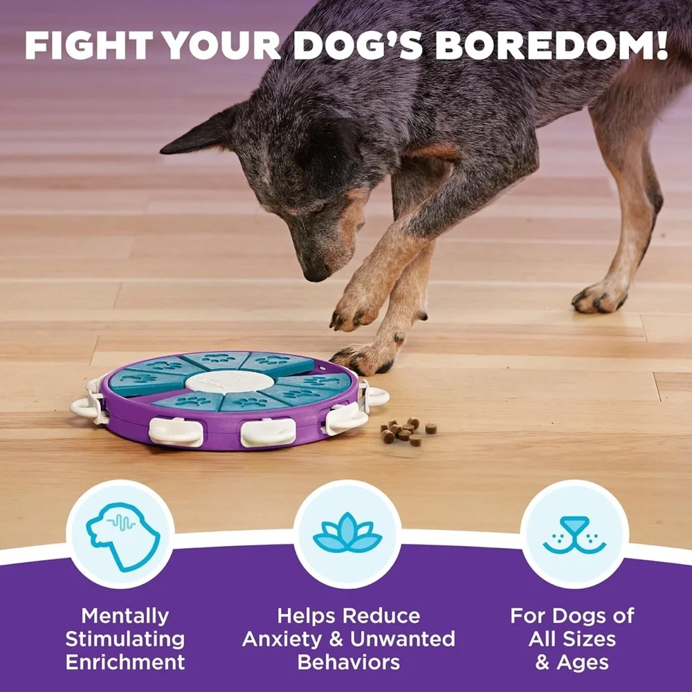 Outward Hound Purple and Teal Dog Enrichment Toy